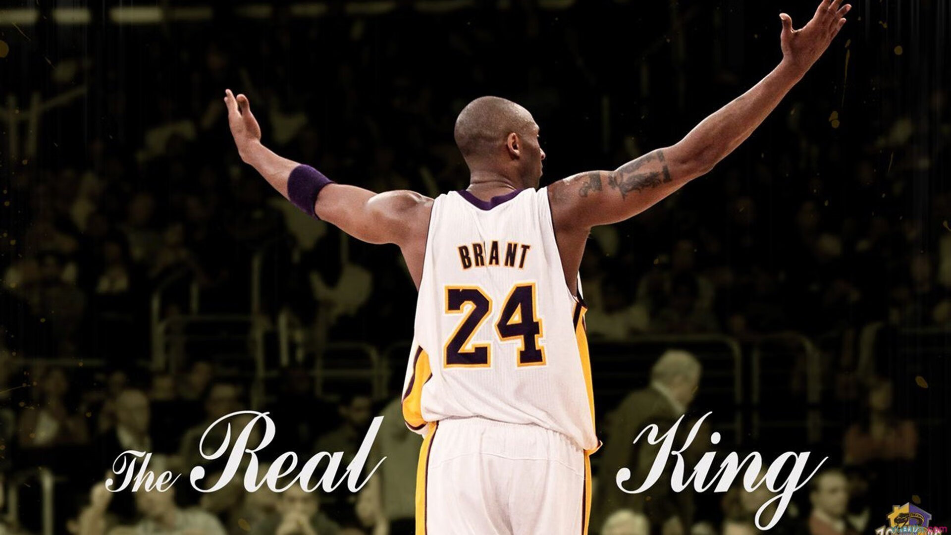 九游娱乐APP-广州队青训梯队夺得U19全国冠军,广州队青训全面压缩